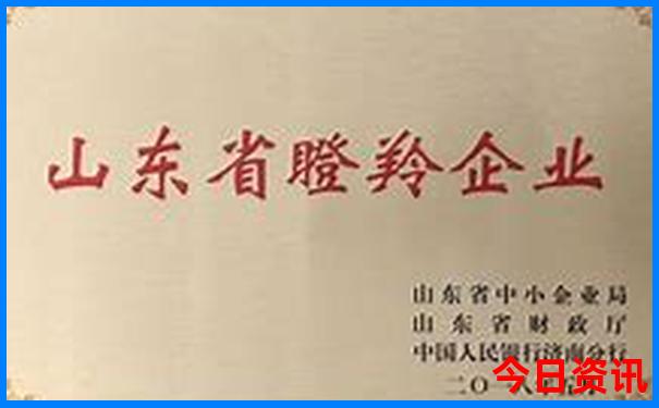 九华山附近景点有哪些好玩的地方